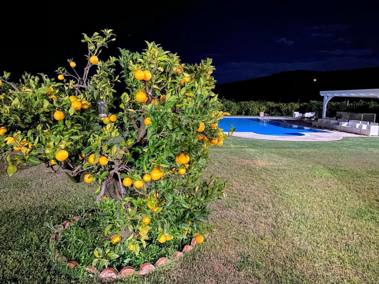 San Demetrio Corone Agriturismo Trappeto Vecchio מראה חיצוני תמונה